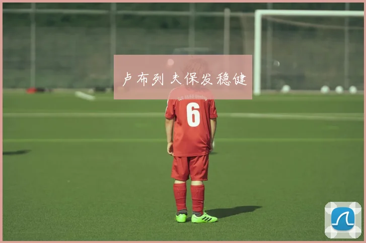 卢布列夫保发稳健