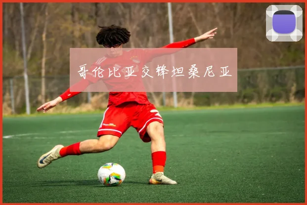 哥伦比亚交锋坦桑尼亚