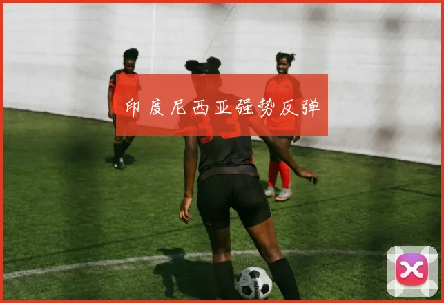 印度尼西亚强势反弹