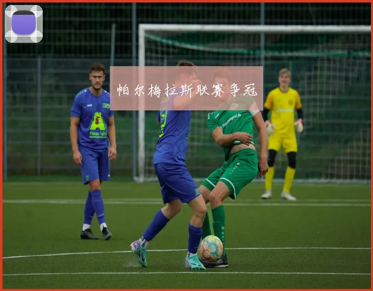 帕尔梅拉斯联赛争冠