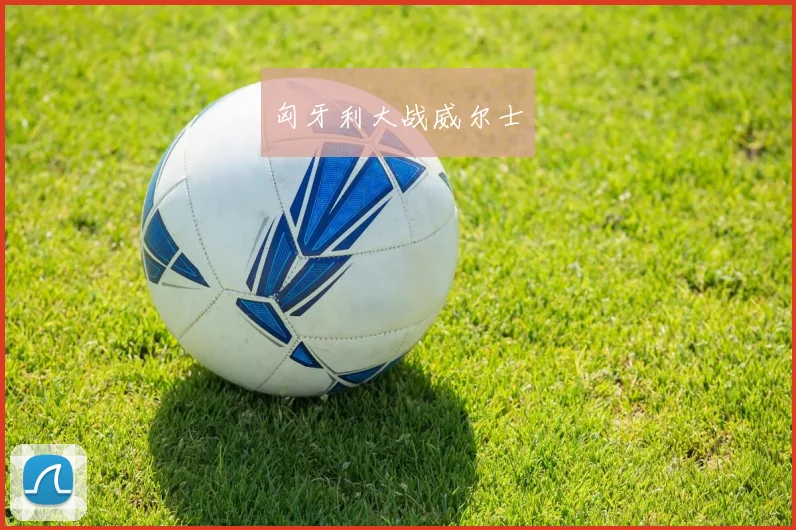 匈牙利大战威尔士